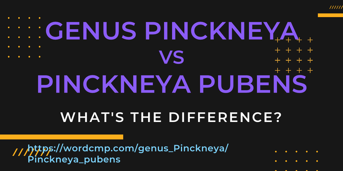Difference between genus Pinckneya and Pinckneya pubens