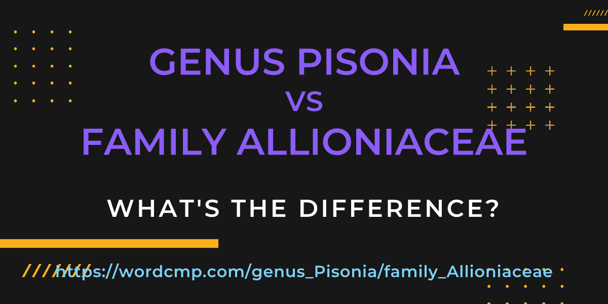 Difference between genus Pisonia and family Allioniaceae