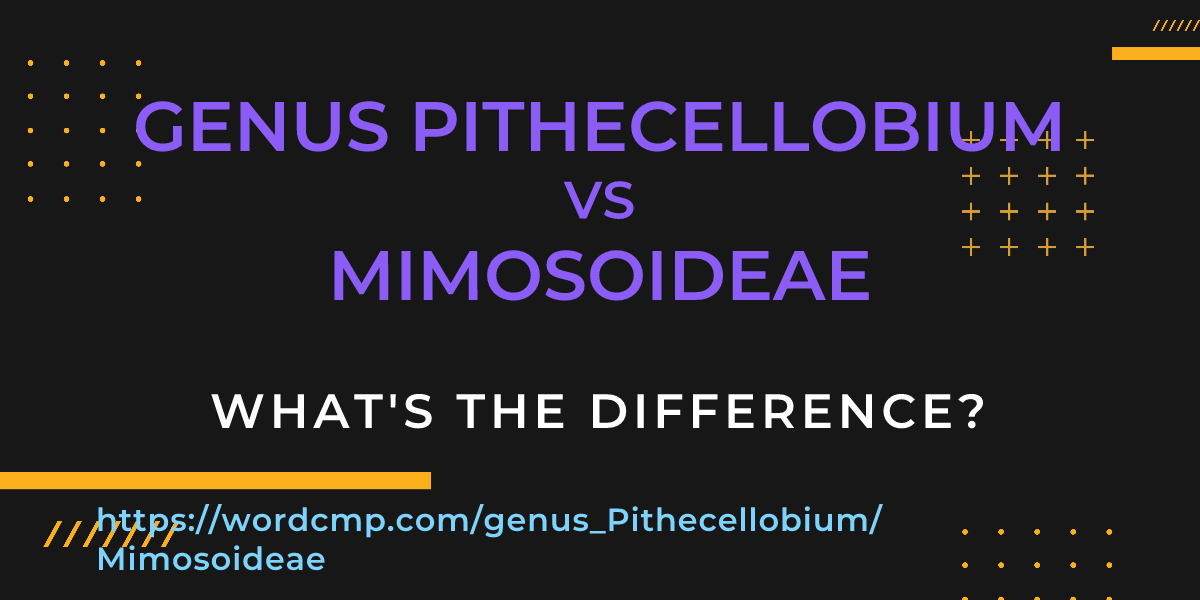 Difference between genus Pithecellobium and Mimosoideae