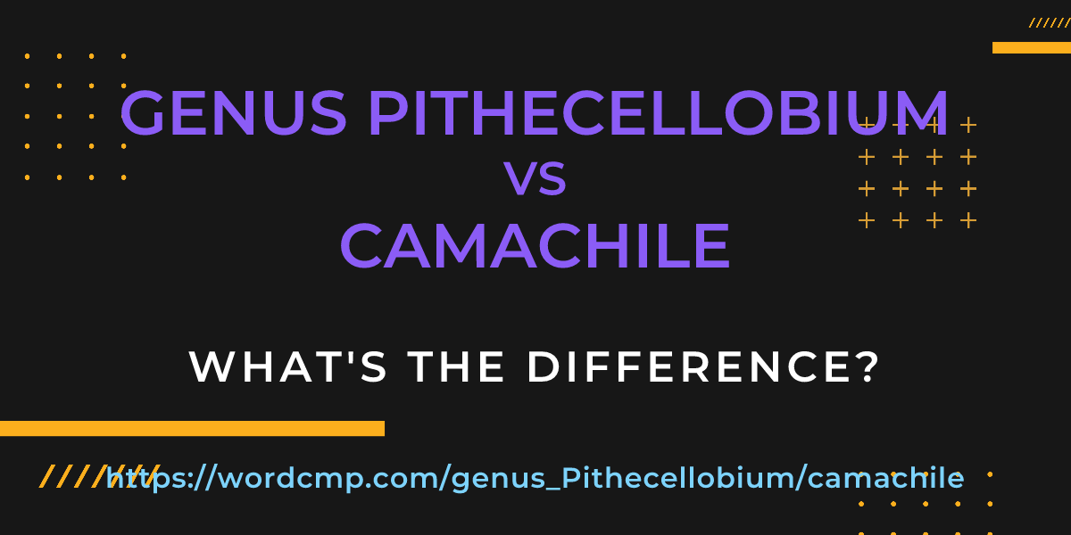 Difference between genus Pithecellobium and camachile