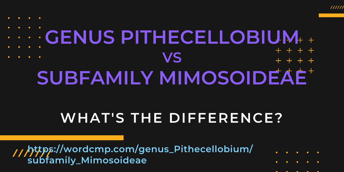 Difference between genus Pithecellobium and subfamily Mimosoideae
