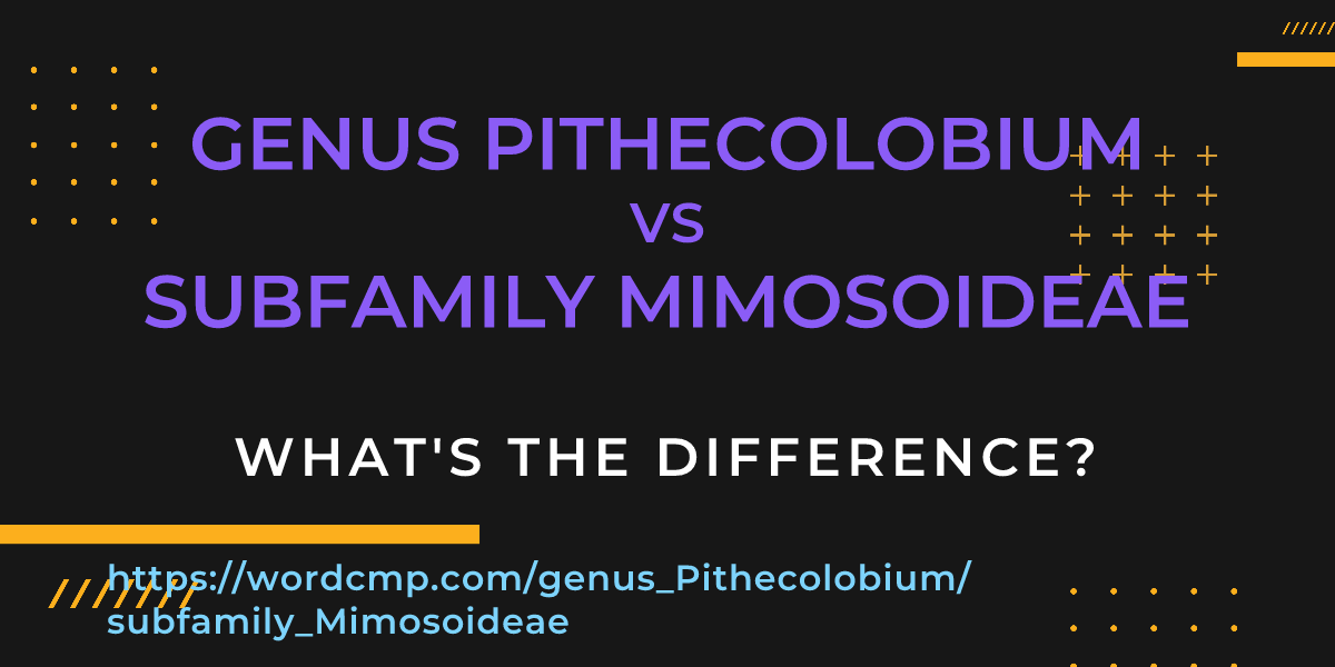 Difference between genus Pithecolobium and subfamily Mimosoideae