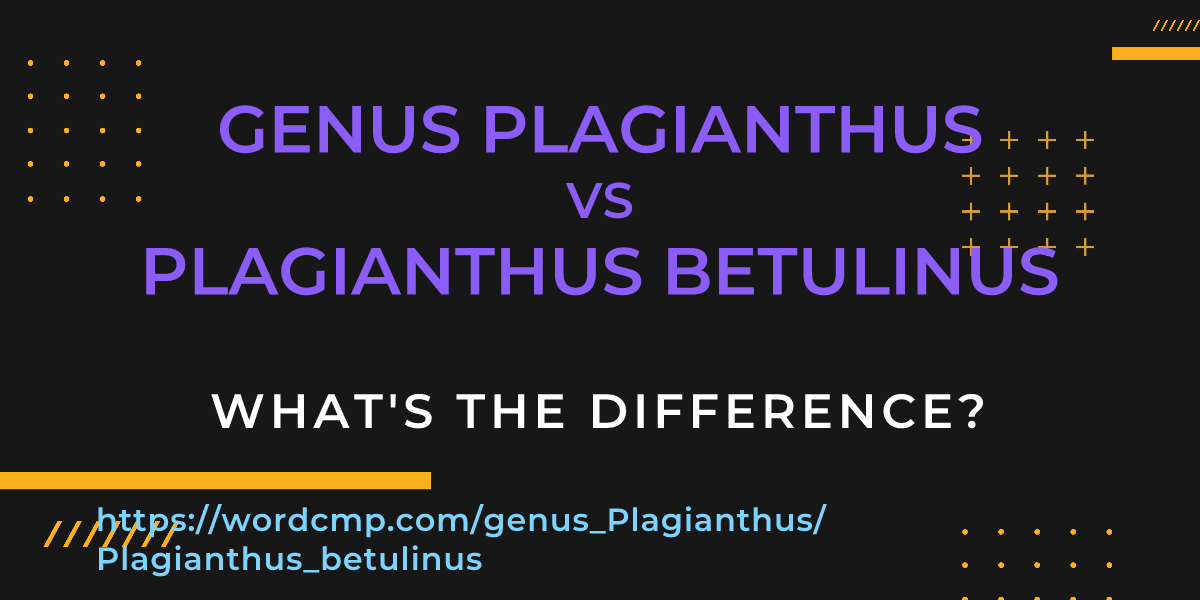 Difference between genus Plagianthus and Plagianthus betulinus