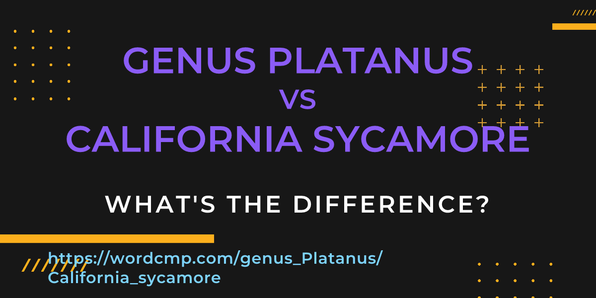 Difference between genus Platanus and California sycamore