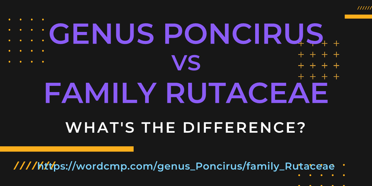 Difference between genus Poncirus and family Rutaceae