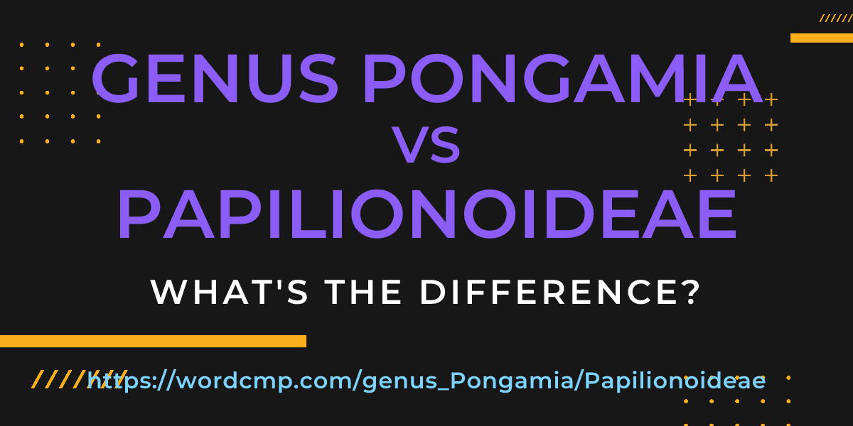 Difference between genus Pongamia and Papilionoideae