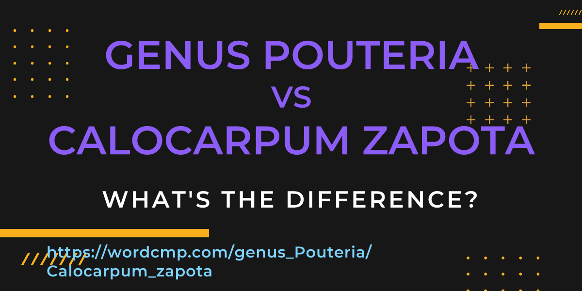 Difference between genus Pouteria and Calocarpum zapota