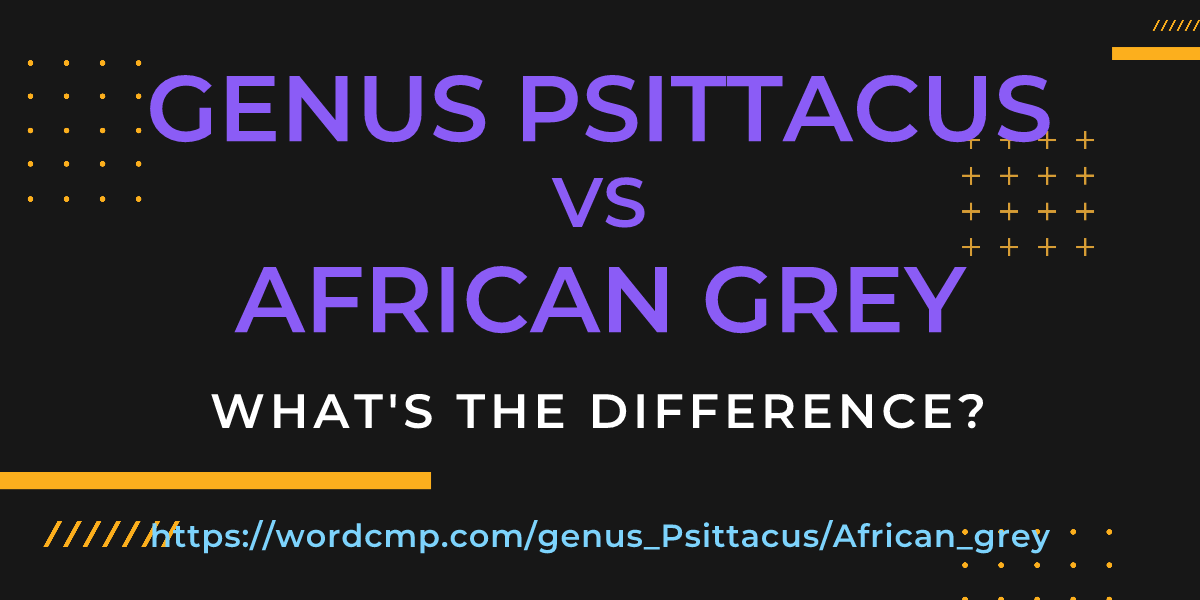 Difference between genus Psittacus and African grey