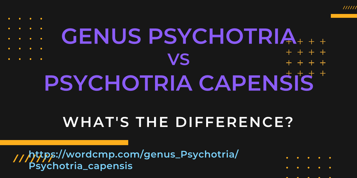 Difference between genus Psychotria and Psychotria capensis