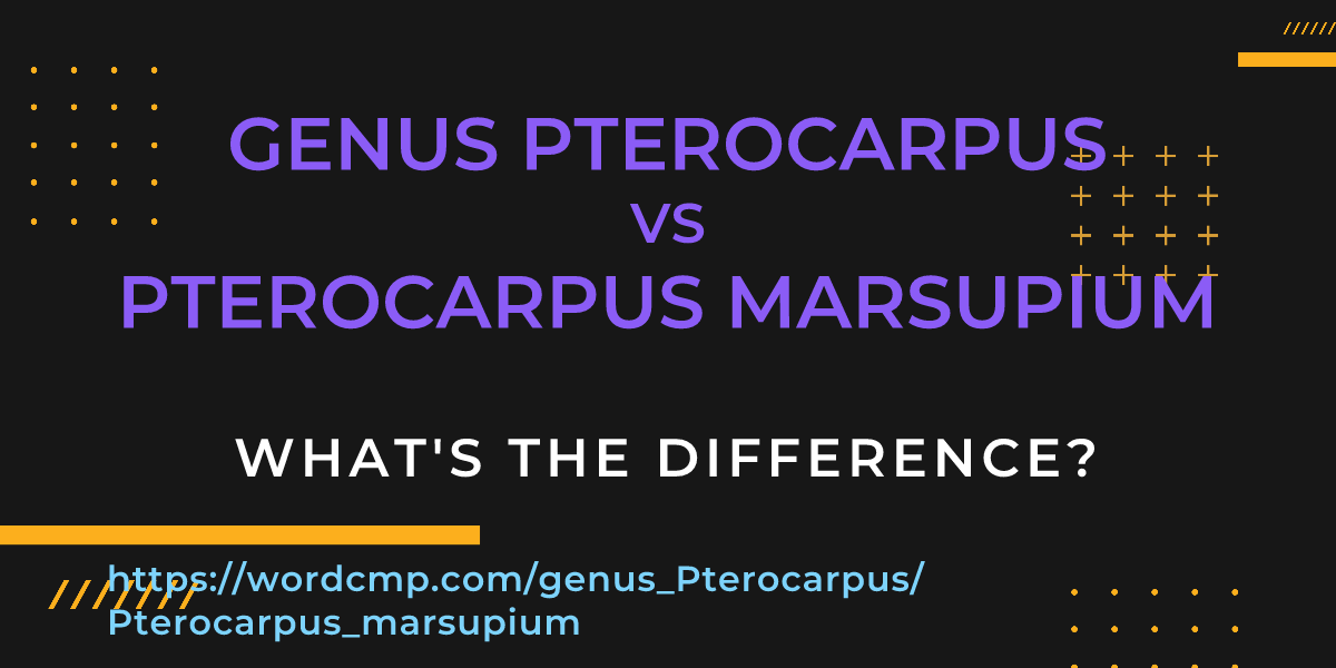 Difference between genus Pterocarpus and Pterocarpus marsupium
