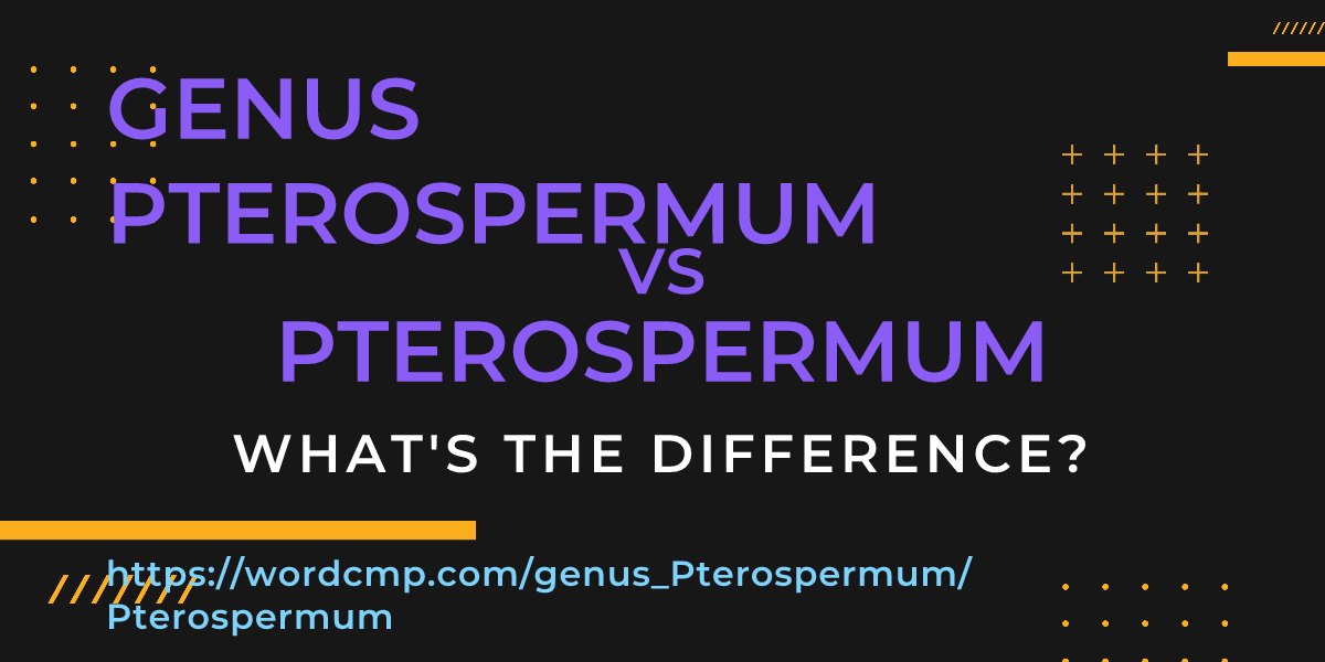 Difference between genus Pterospermum and Pterospermum