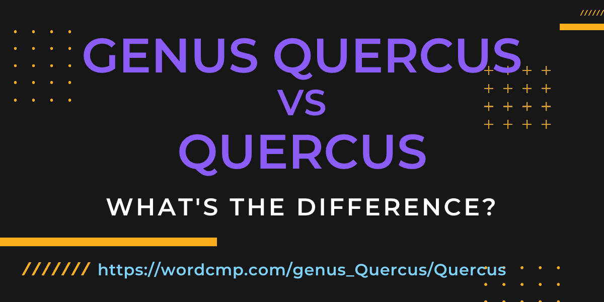Difference between genus Quercus and Quercus