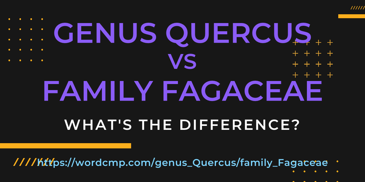 Difference between genus Quercus and family Fagaceae