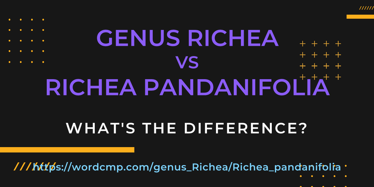 Difference between genus Richea and Richea pandanifolia