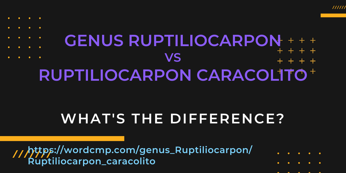 Difference between genus Ruptiliocarpon and Ruptiliocarpon caracolito