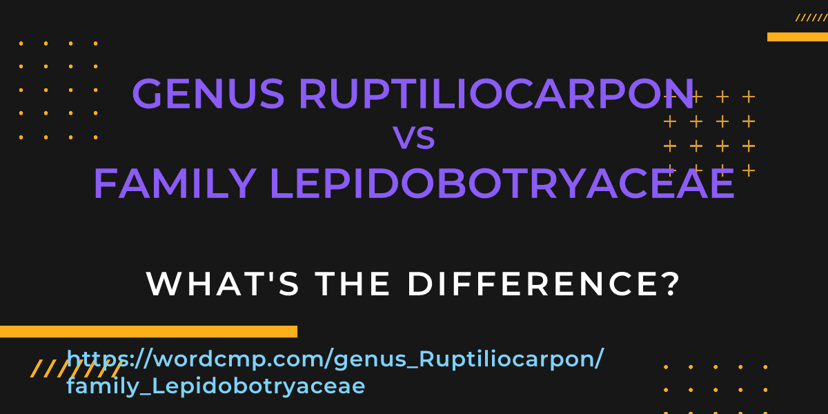 Difference between genus Ruptiliocarpon and family Lepidobotryaceae