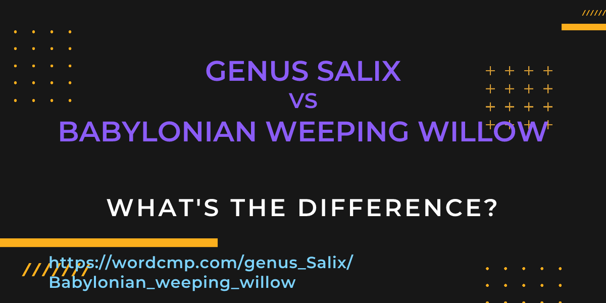 Difference between genus Salix and Babylonian weeping willow