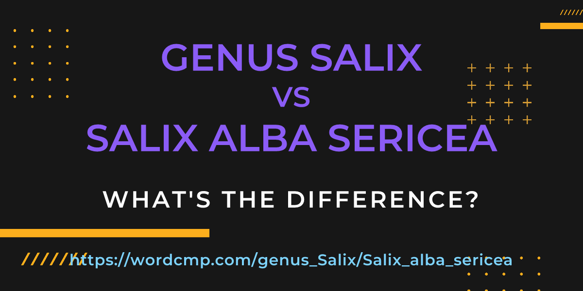 Difference between genus Salix and Salix alba sericea