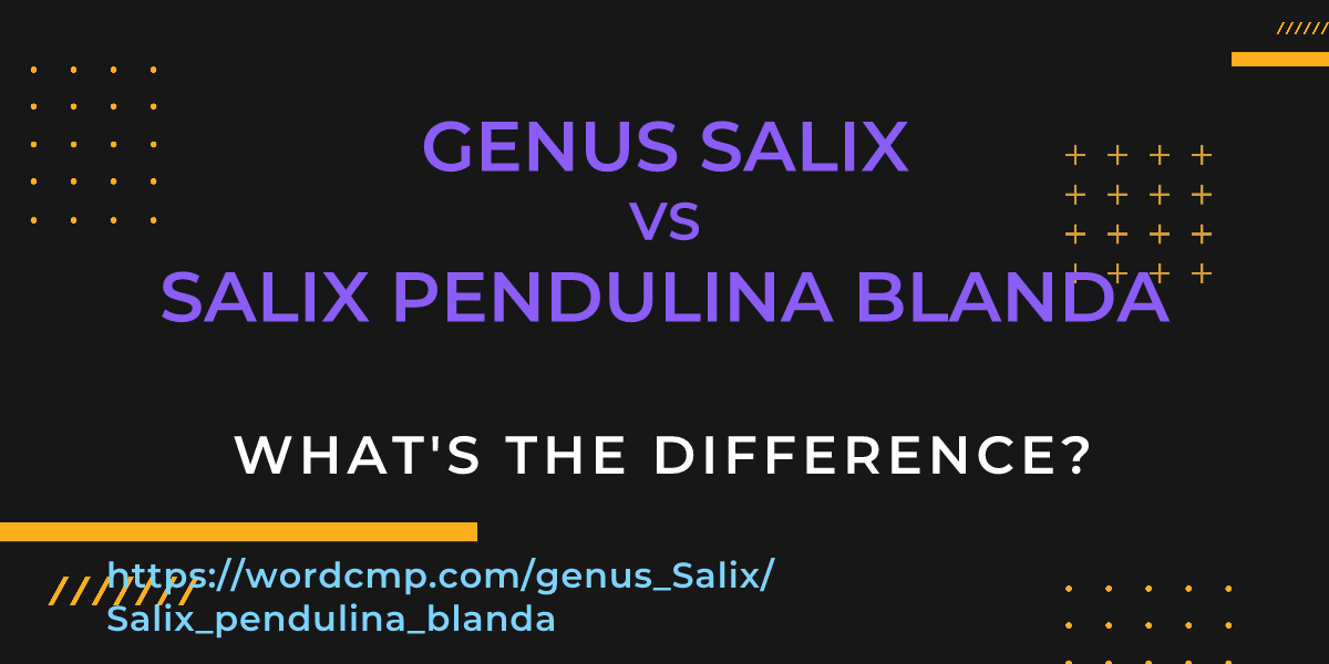 Difference between genus Salix and Salix pendulina blanda