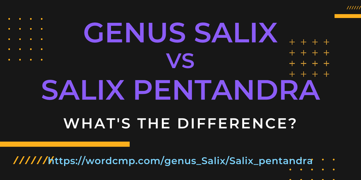 Difference between genus Salix and Salix pentandra