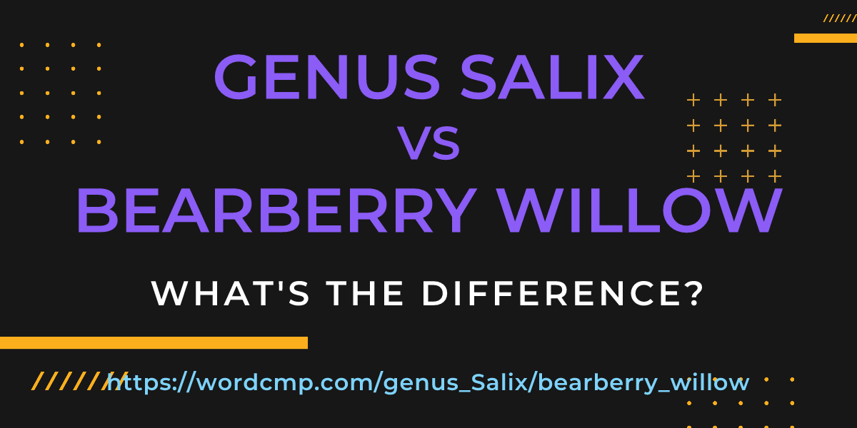 Difference between genus Salix and bearberry willow