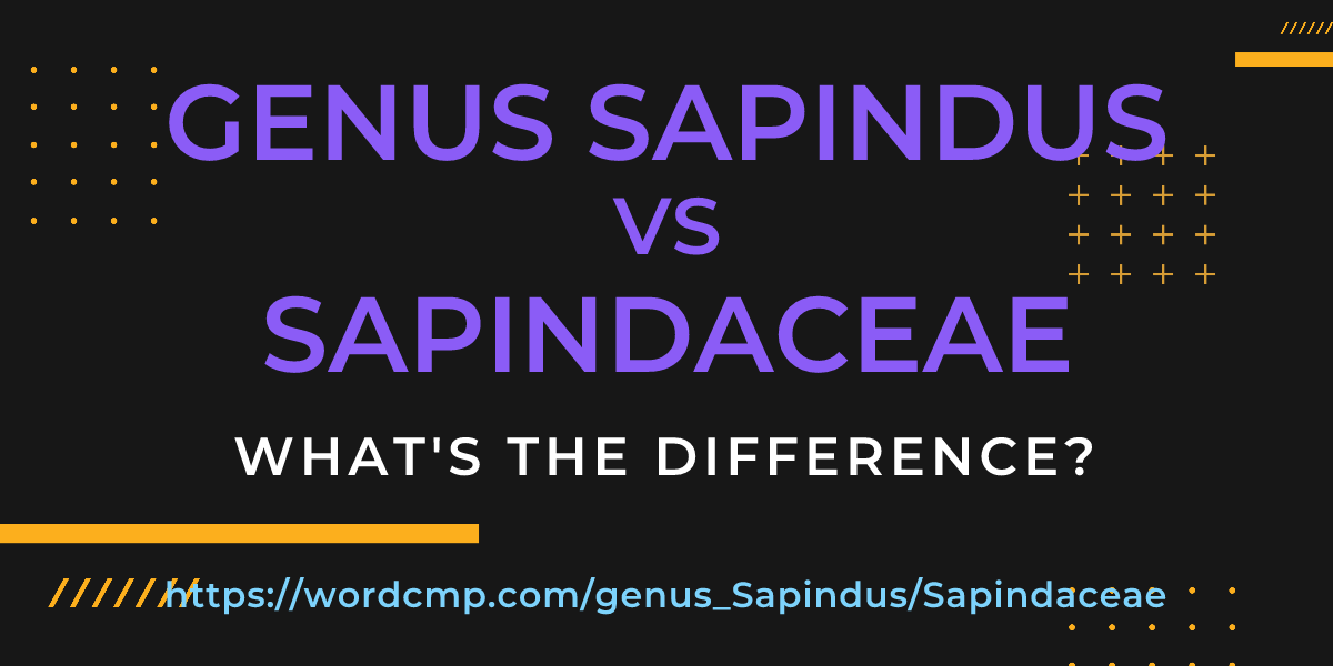 Difference between genus Sapindus and Sapindaceae
