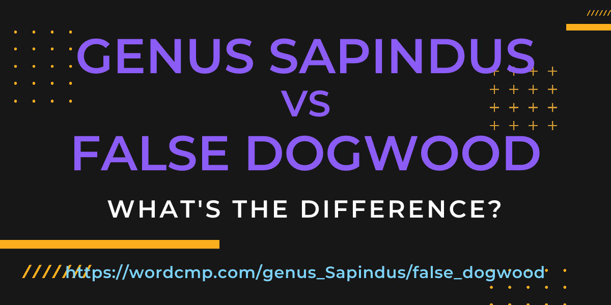 Difference between genus Sapindus and false dogwood