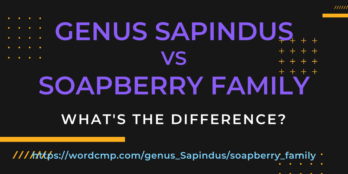 Difference between genus Sapindus and soapberry family
