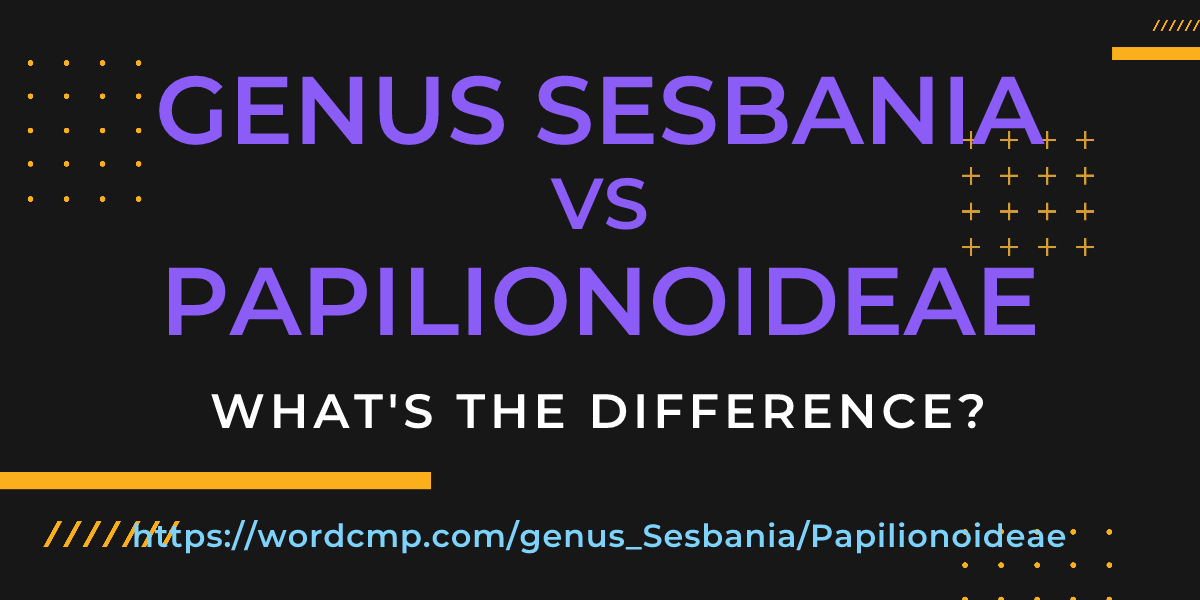 Difference between genus Sesbania and Papilionoideae