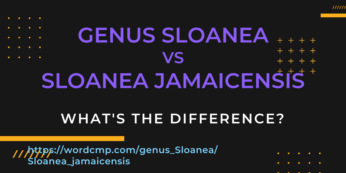 Difference between genus Sloanea and Sloanea jamaicensis