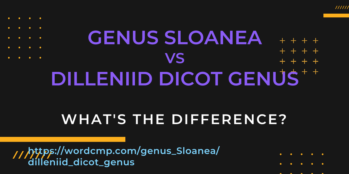 Difference between genus Sloanea and dilleniid dicot genus