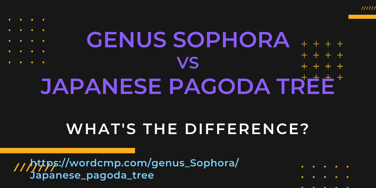 Difference between genus Sophora and Japanese pagoda tree