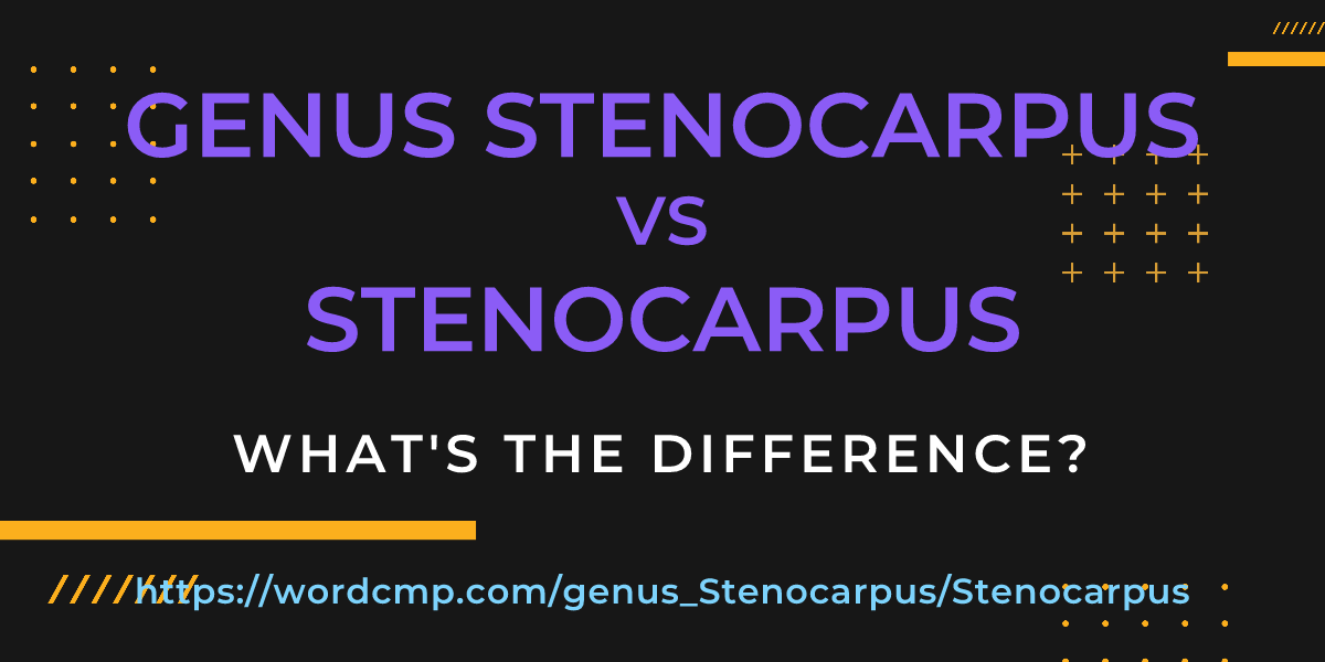 Difference between genus Stenocarpus and Stenocarpus