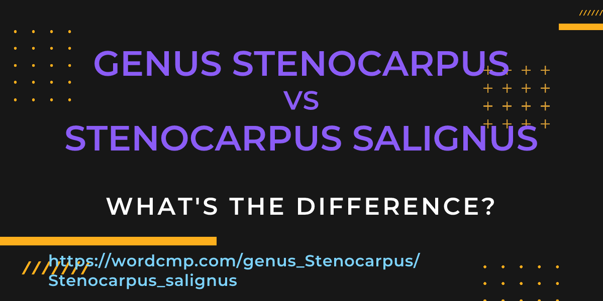 Difference between genus Stenocarpus and Stenocarpus salignus