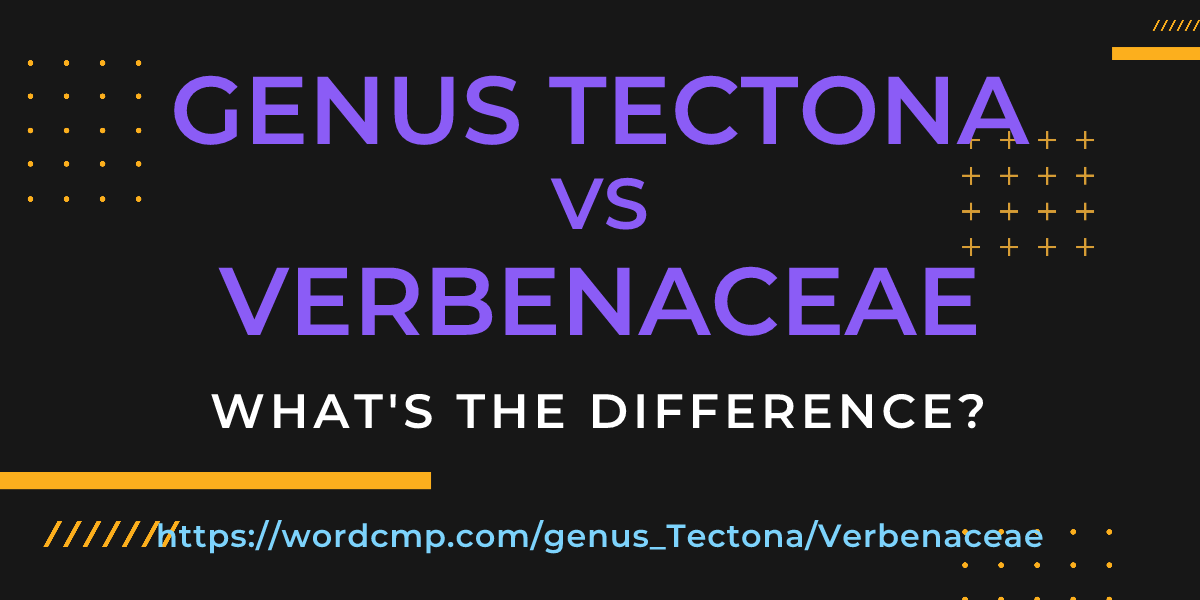 Difference between genus Tectona and Verbenaceae