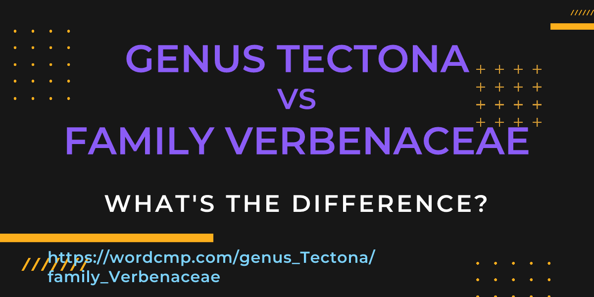 Difference between genus Tectona and family Verbenaceae