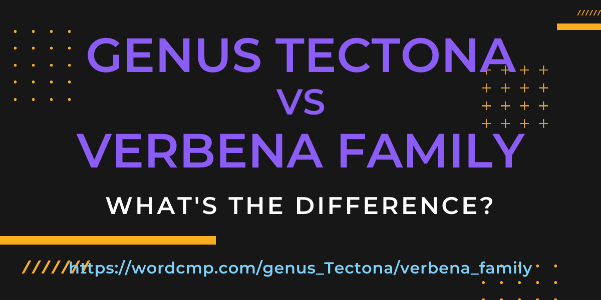 Difference between genus Tectona and verbena family