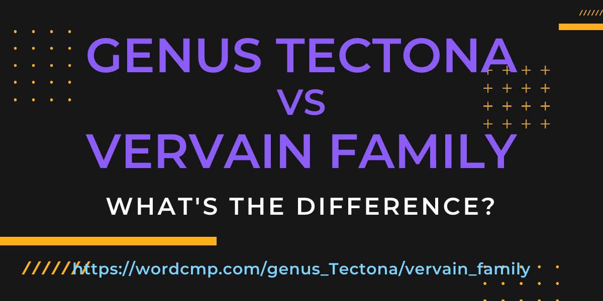 Difference between genus Tectona and vervain family