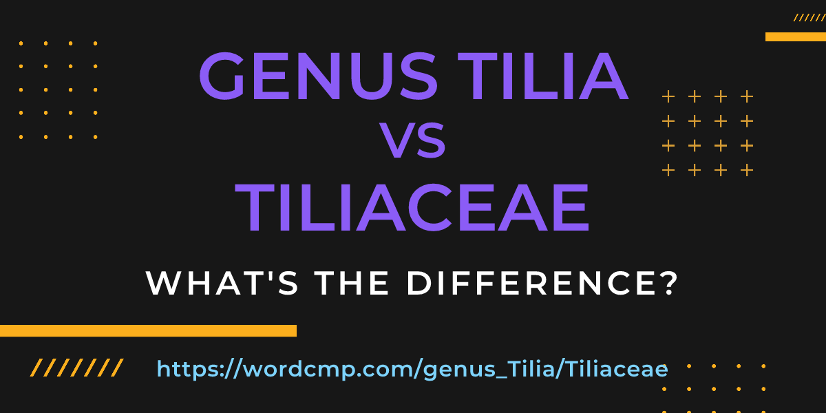 Difference between genus Tilia and Tiliaceae