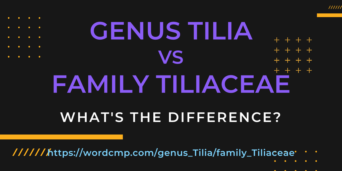Difference between genus Tilia and family Tiliaceae