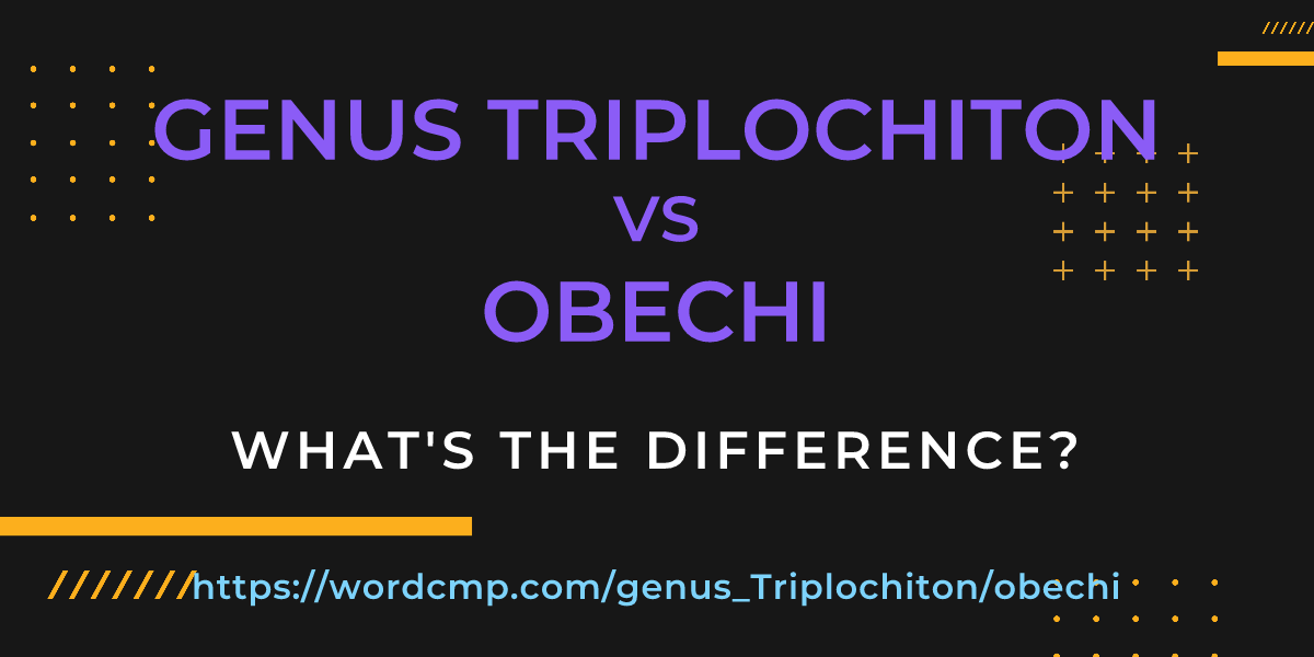 Difference between genus Triplochiton and obechi