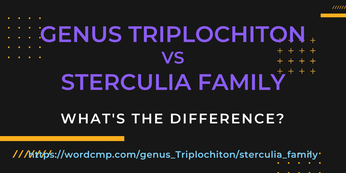 Difference between genus Triplochiton and sterculia family