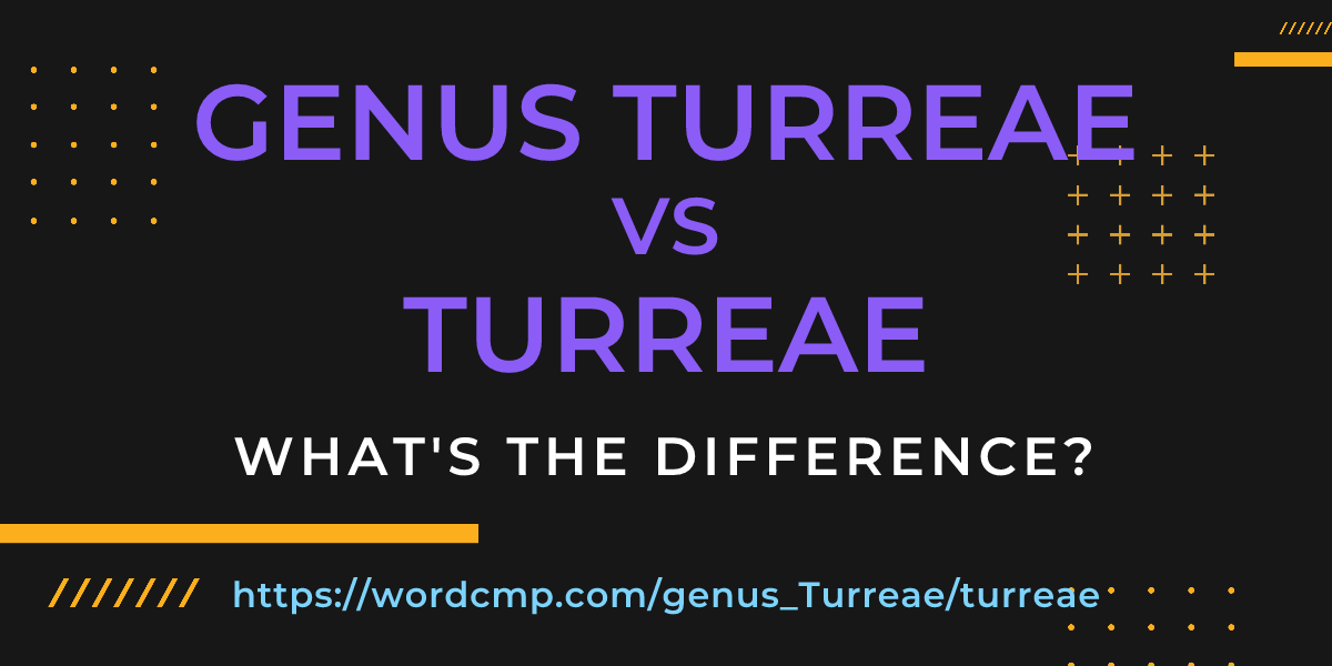 Difference between genus Turreae and turreae