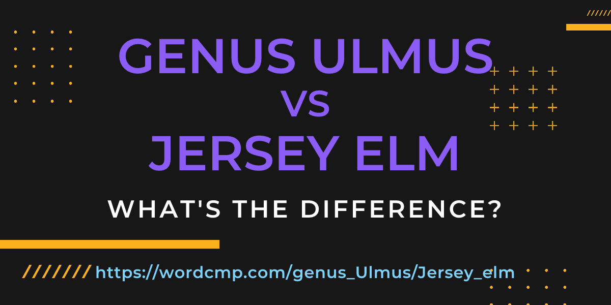Difference between genus Ulmus and Jersey elm