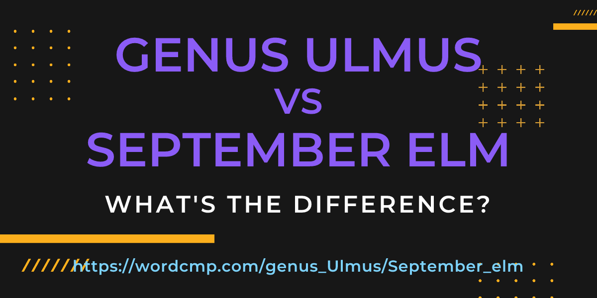 Difference between genus Ulmus and September elm