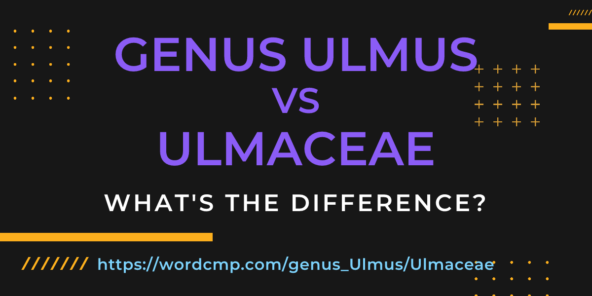 Difference between genus Ulmus and Ulmaceae