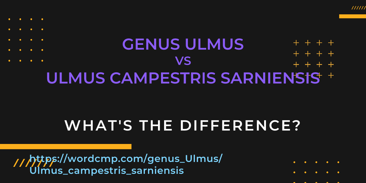 Difference between genus Ulmus and Ulmus campestris sarniensis
