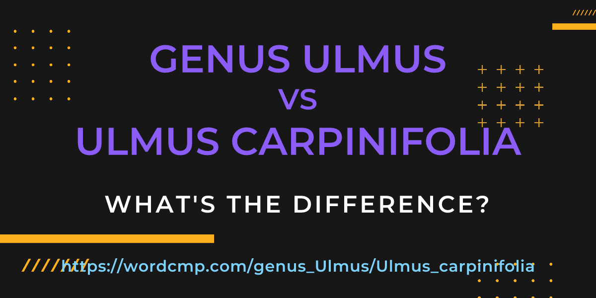 Difference between genus Ulmus and Ulmus carpinifolia