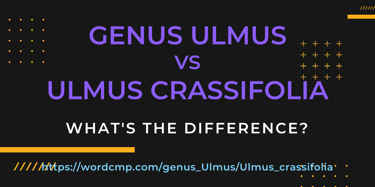 Difference between genus Ulmus and Ulmus crassifolia