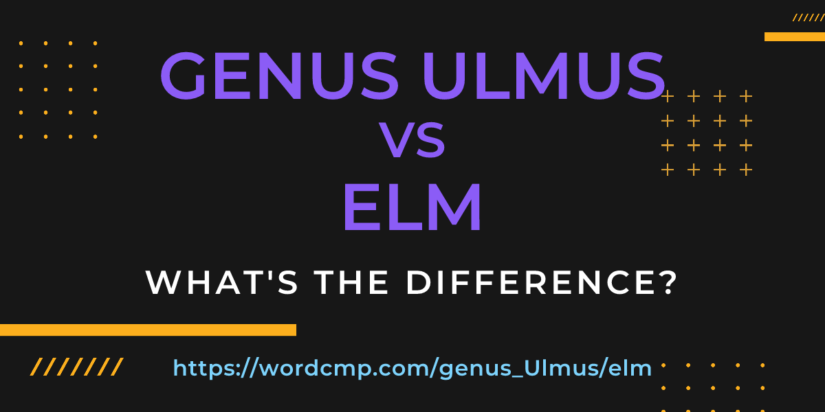 Difference between genus Ulmus and elm